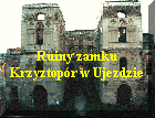 Ruiny zamku Krzy�top�r